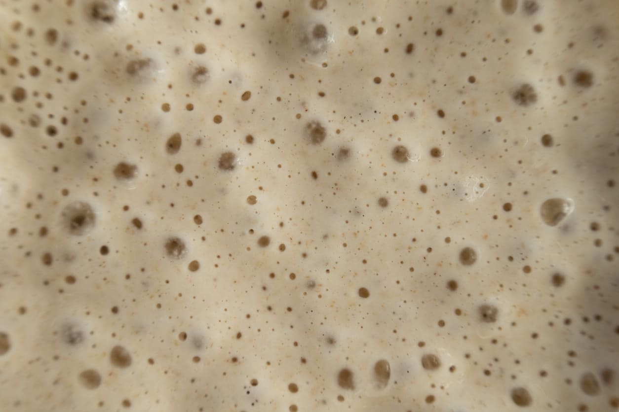 Sourdough Starter Recipe for Beginners (Super Easy, No Stress!)