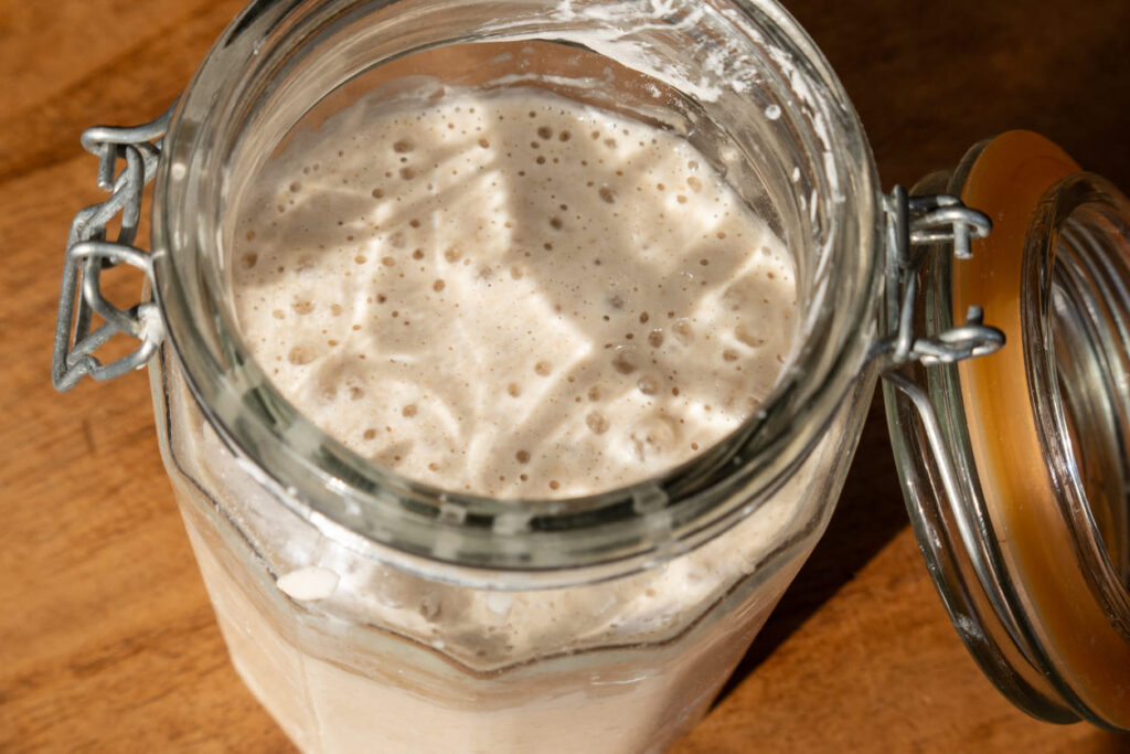 Sourdough Starter Recipe for Beginners (Super Easy, No Stress!)